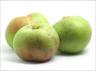 Apple: Bramley